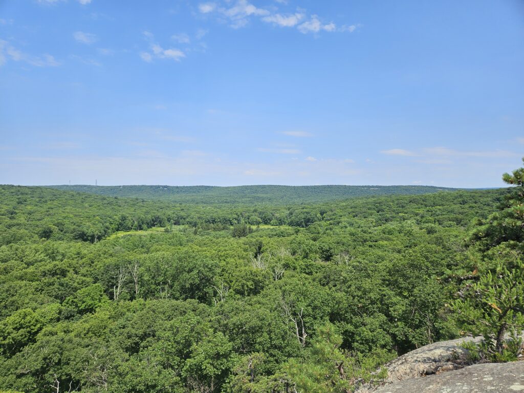 The view from Indian Cliffs in Wildcat Ridge and Farny State Park