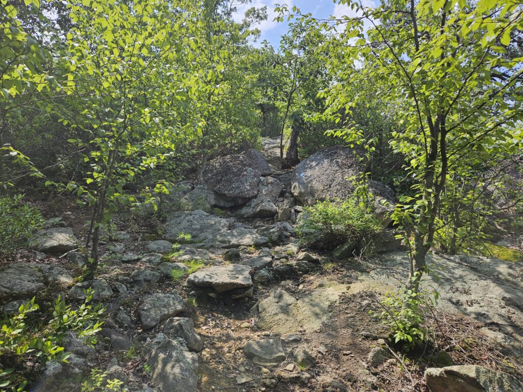 The trail up Indian Cliffs in Wildcat Ridge and Farny State Park