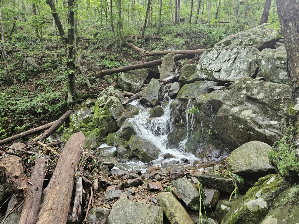Musconetcong Gorge Falls 1 An image of a small cascade on Scout Run in Musconetcong Gorge