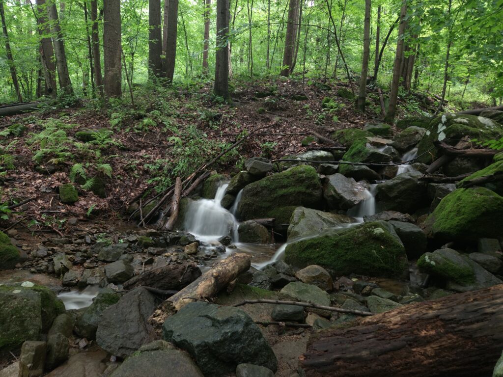 Musconetcong Gorge Falls 4 An image of a small cascade on Scout Run in Musconetcong Gorge