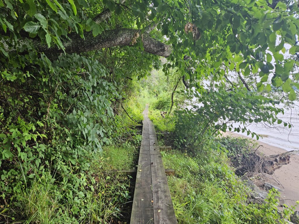 A boardwalk on the Shore Trail at Palisades Interstate Park