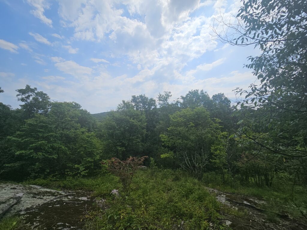 Riley's Rise at Farny State Park and Wildcat Ridge