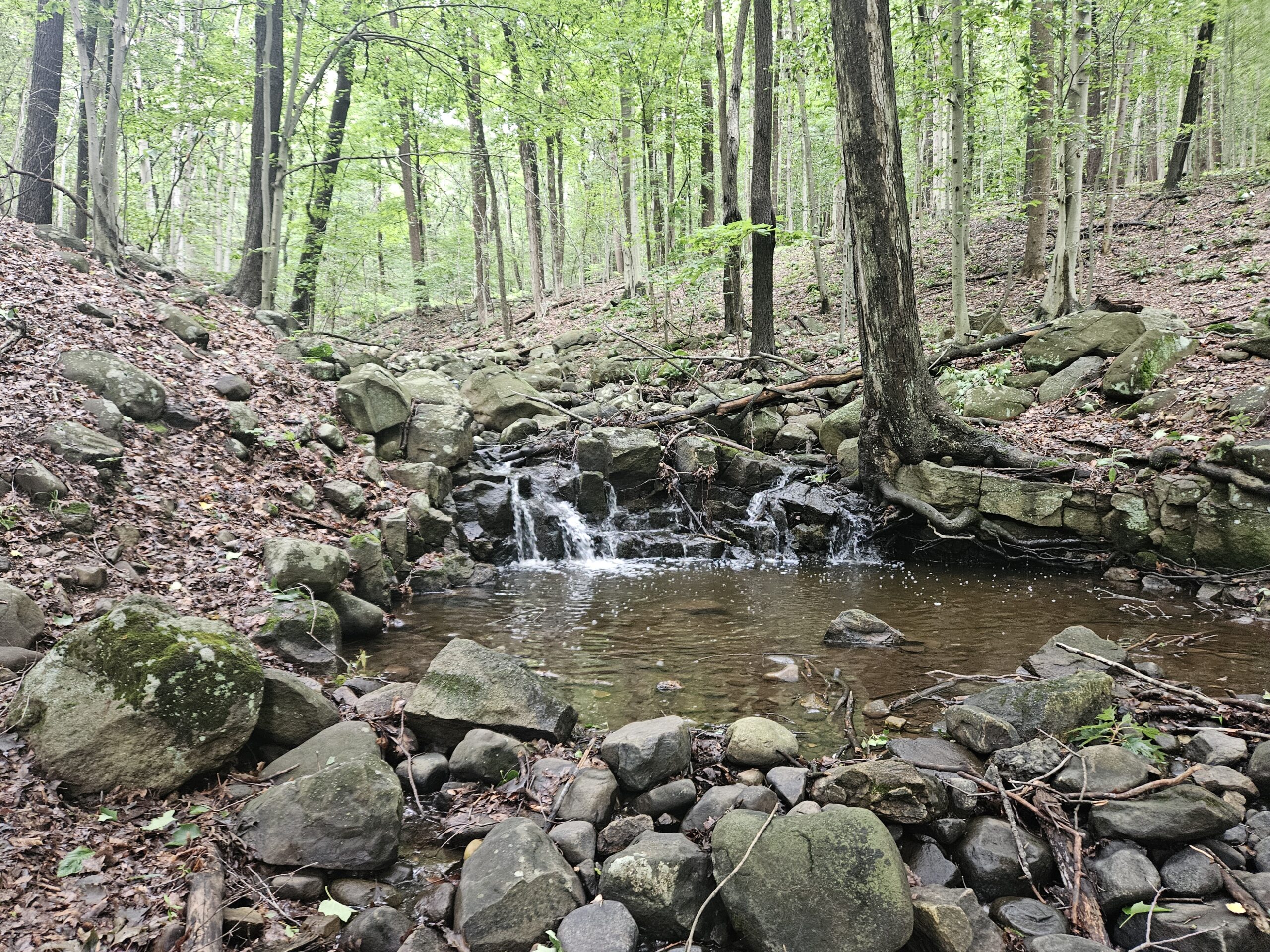 Hiking the Small Rockleigh Woods Sanctuary and Lamont Reserve Roaring Brook Falls at Rockleigh Woods Sanctuary