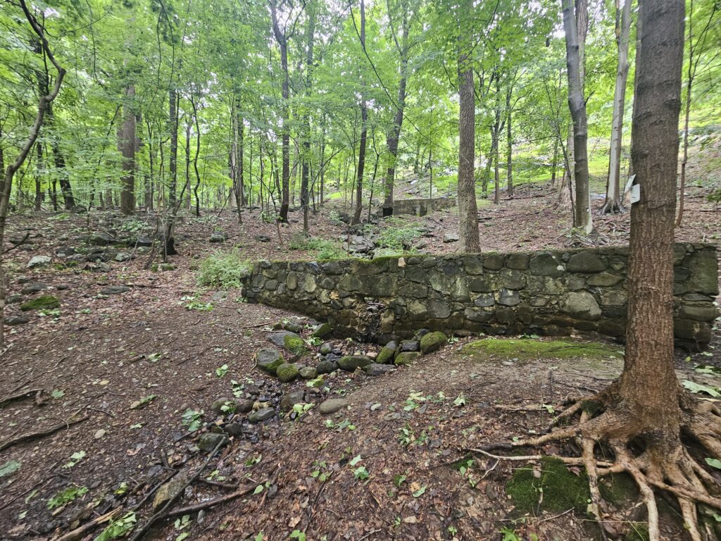 The ruins of a cistern at Rockleigh Woods and Lamont Reserve