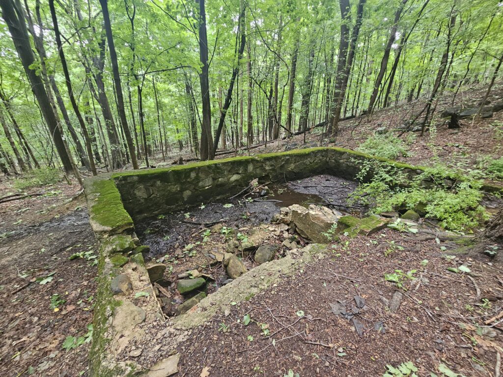 The ruins of a cistern at Rockleigh Woods and Lamont Reserve