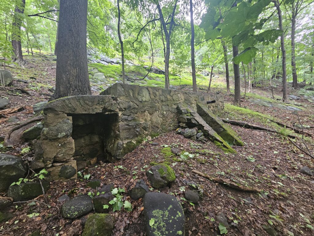 The ruins of a cistern at Rockleigh Woods and Lamont Reserve
