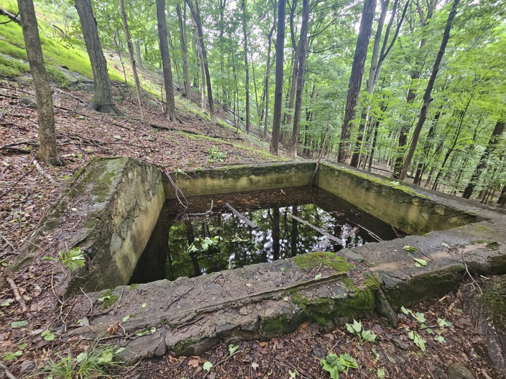 The ruins of a cistern at Rockleigh Woods and Lamont Reserve