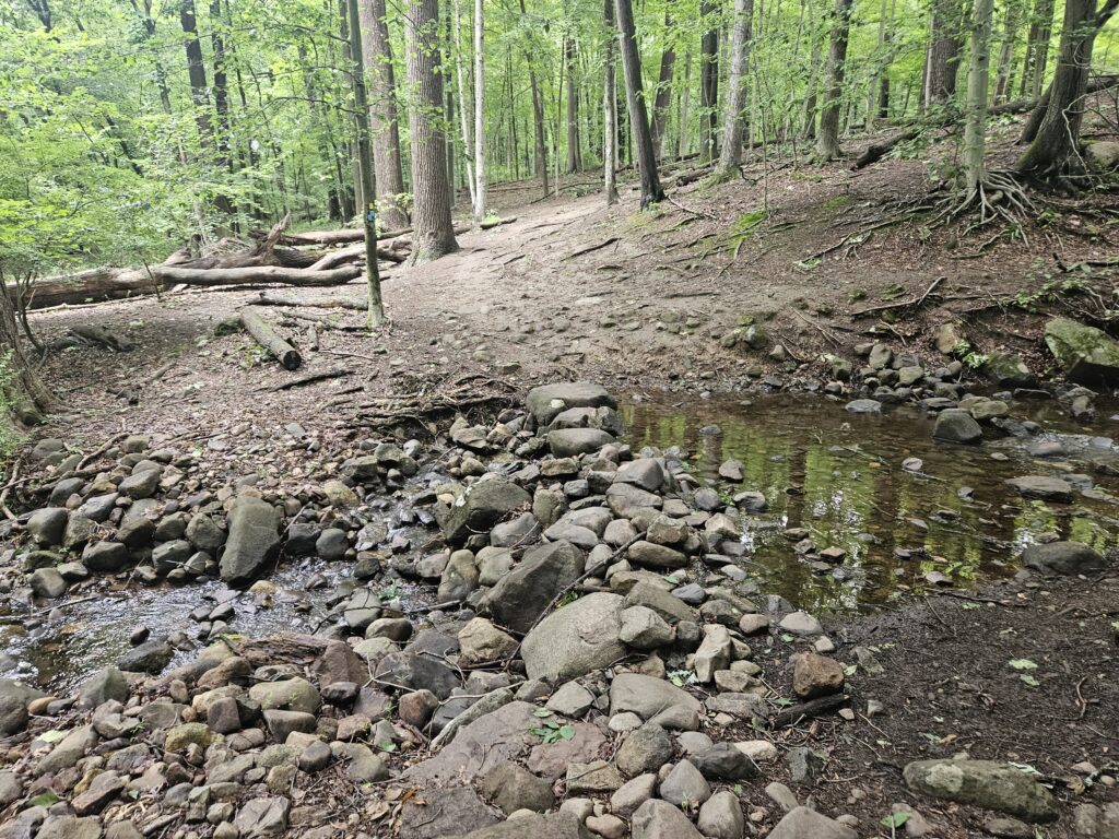 A water crossing over Roaring Brook at Rockleigh Woods Sanctuary