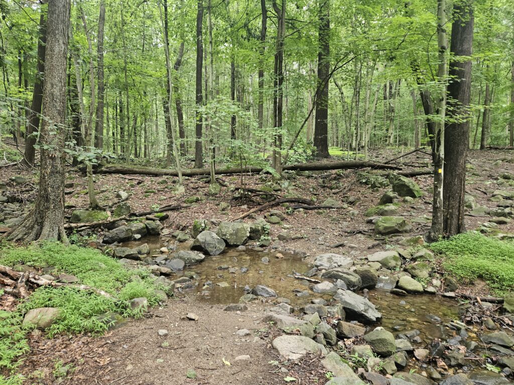A water crossing at Rockleigh Woods Sanctuary 