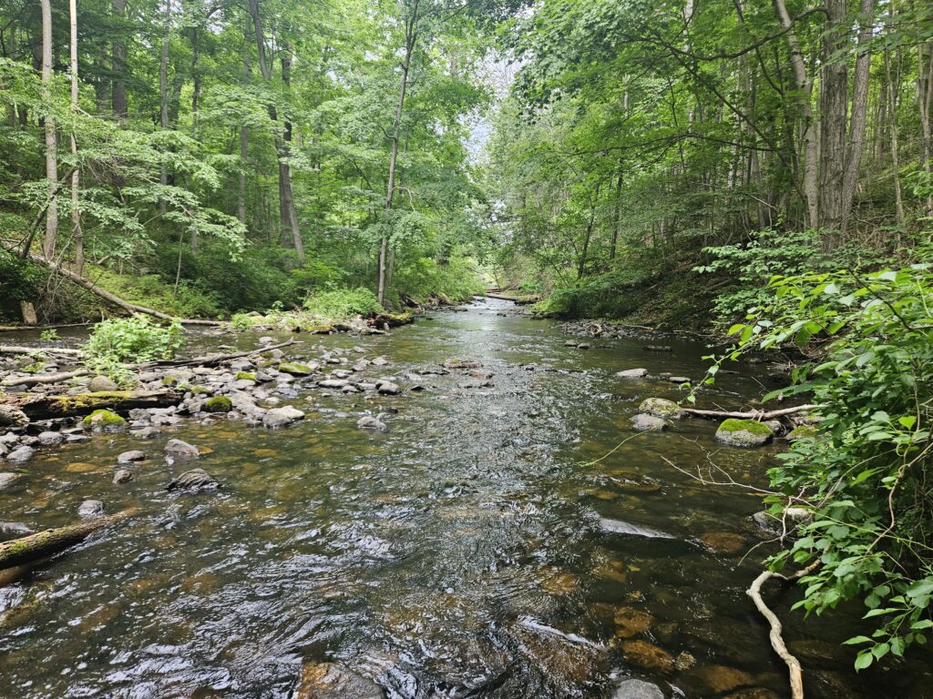 The Underwhelming Gristmill Trail at Swartswood State Park 6 A scenic stream at the outlet of Swartswood Lake on the Gristmill Trail