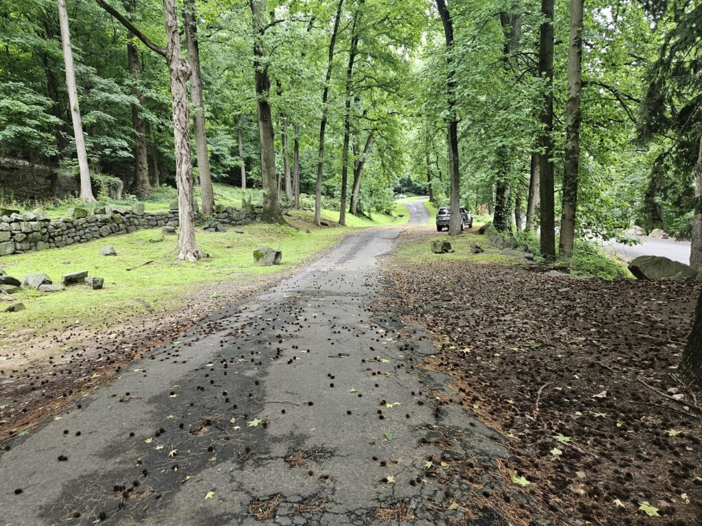 Parking in the Undercliff Picnic Area at Palisades Interstate Park