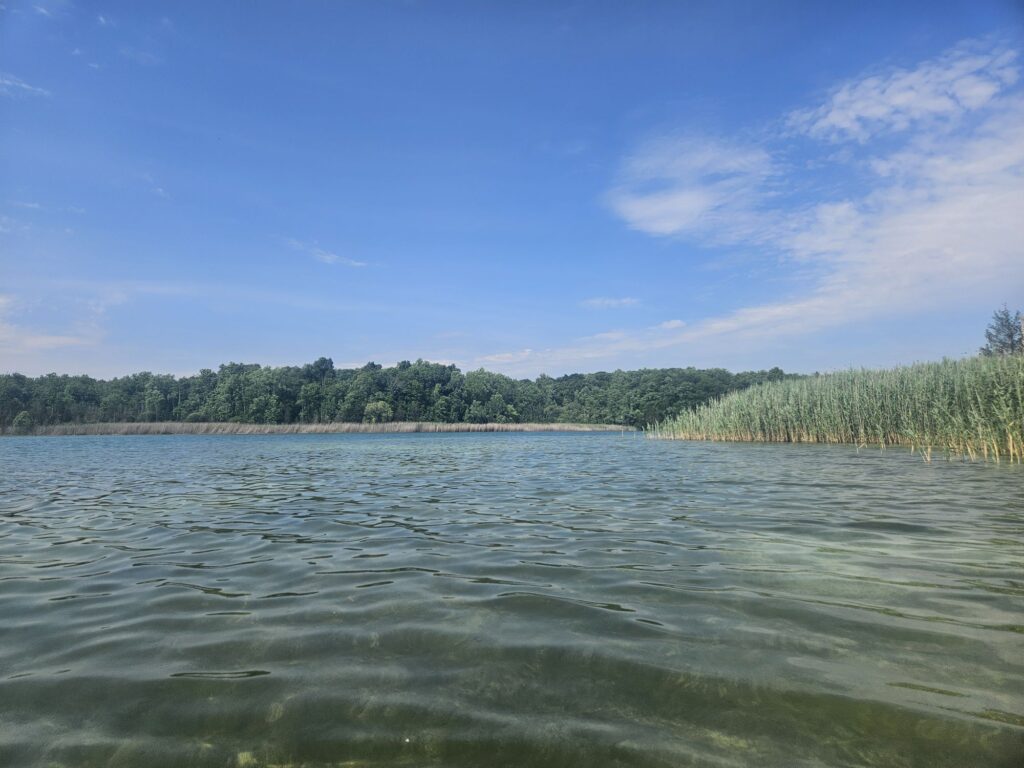 White Lake at White Lake Natural Resource Area