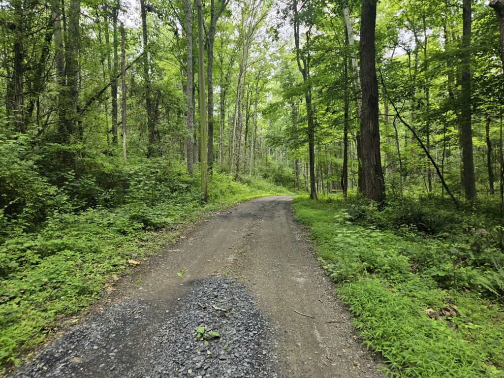 Hiking White Lake Natural Resource Area 4 The Green Trail and woods road at White Lake Natural Resource Area in Hardwick