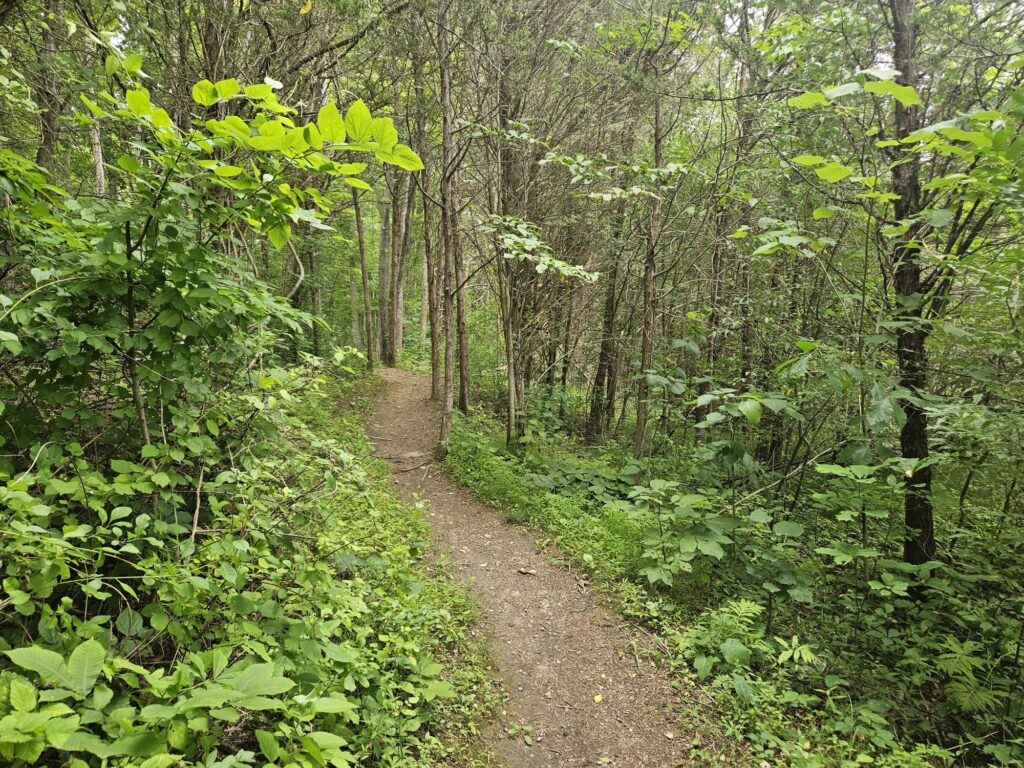 Hiking White Lake Natural Resource Area 3 The Blue Trail at White Lake Natural Resource Area in Hardwick