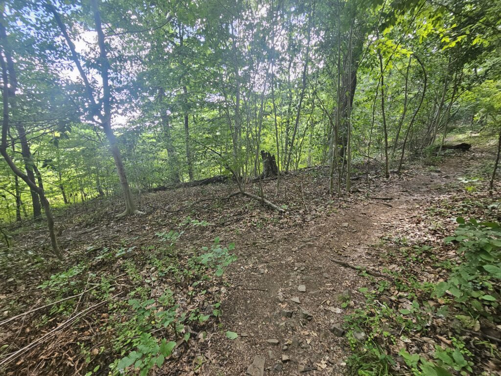 The side trail to an unmarked overlook of Buttermilk Falls off the Orange Trail at Washington Valley Park