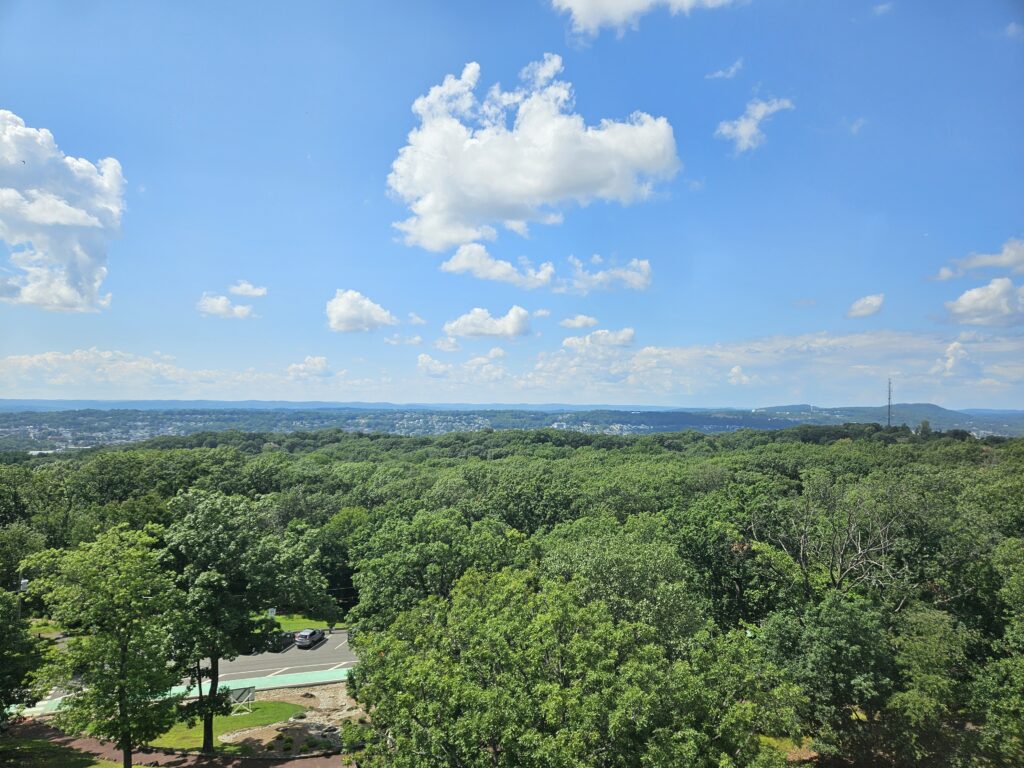The view north from Lambert Tower