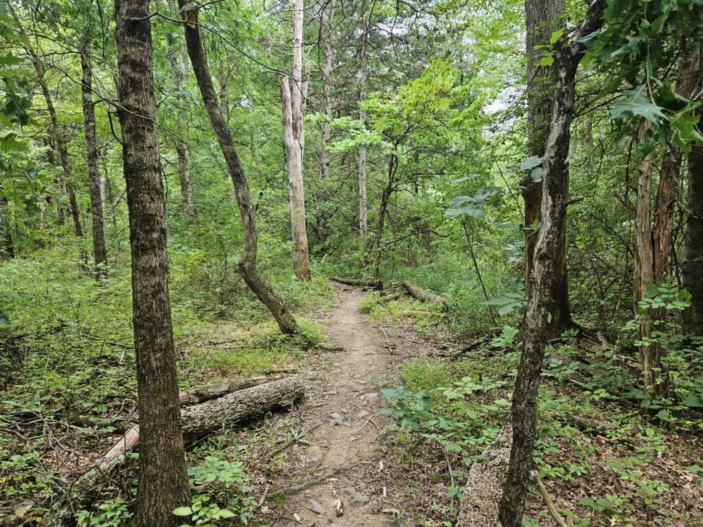 The Lockatong High Falls Trail