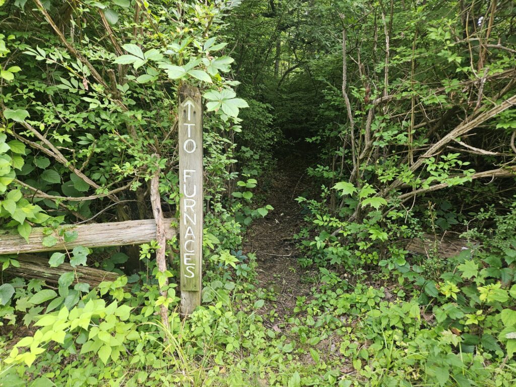 Exploring Long Pond Ironworks 10