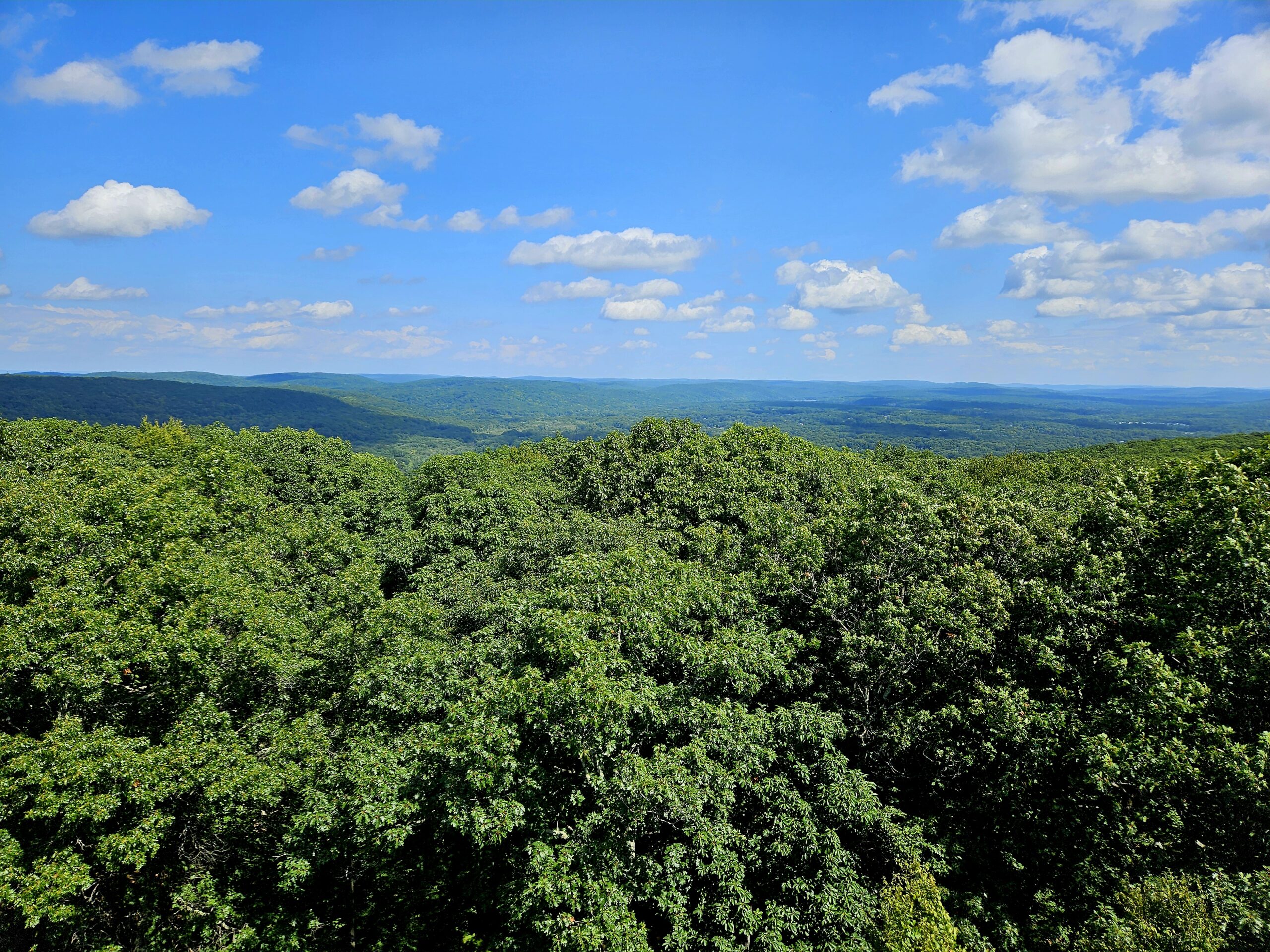 Hiking to the 80-Foot-Tall Milton Fire Tower and Former Snow Bowl Ski Area The view from the Milton Fire Tower in Jefferson New Jersey