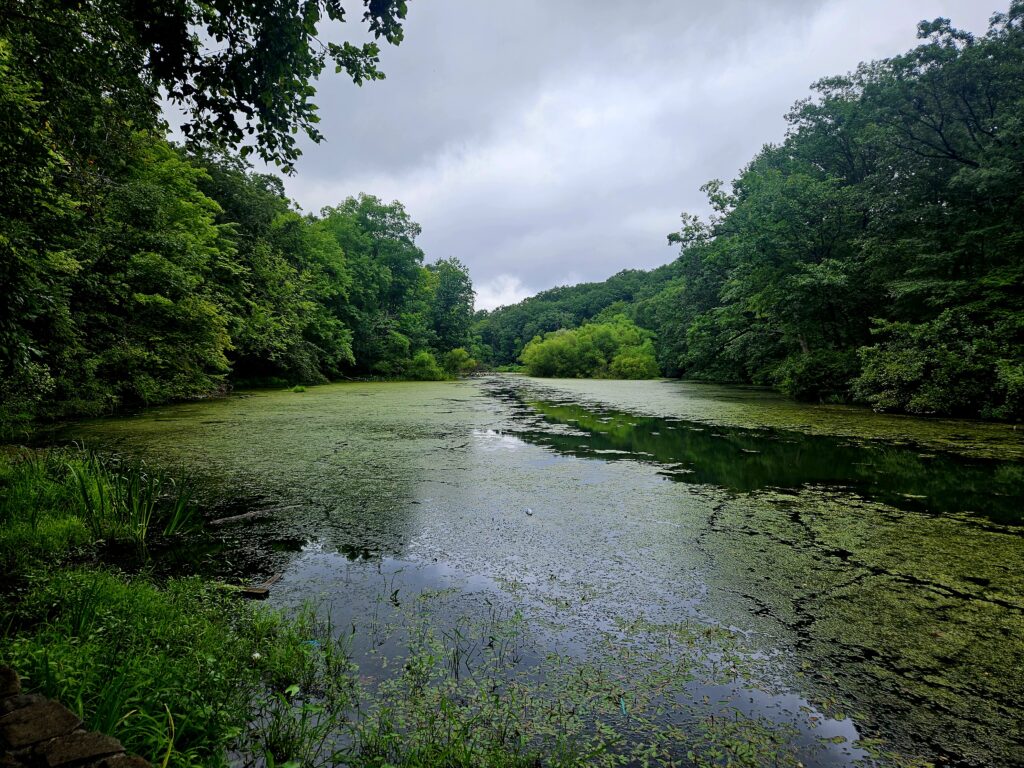 Hiking to the Filthy Green Brook Falls at Watchung Reservation 23 Seeley's Pond at Watchung Reservation