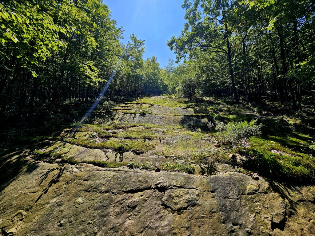 Cliffs along a former ski trail in Snow Bowl in Oak Ridge New Jersey