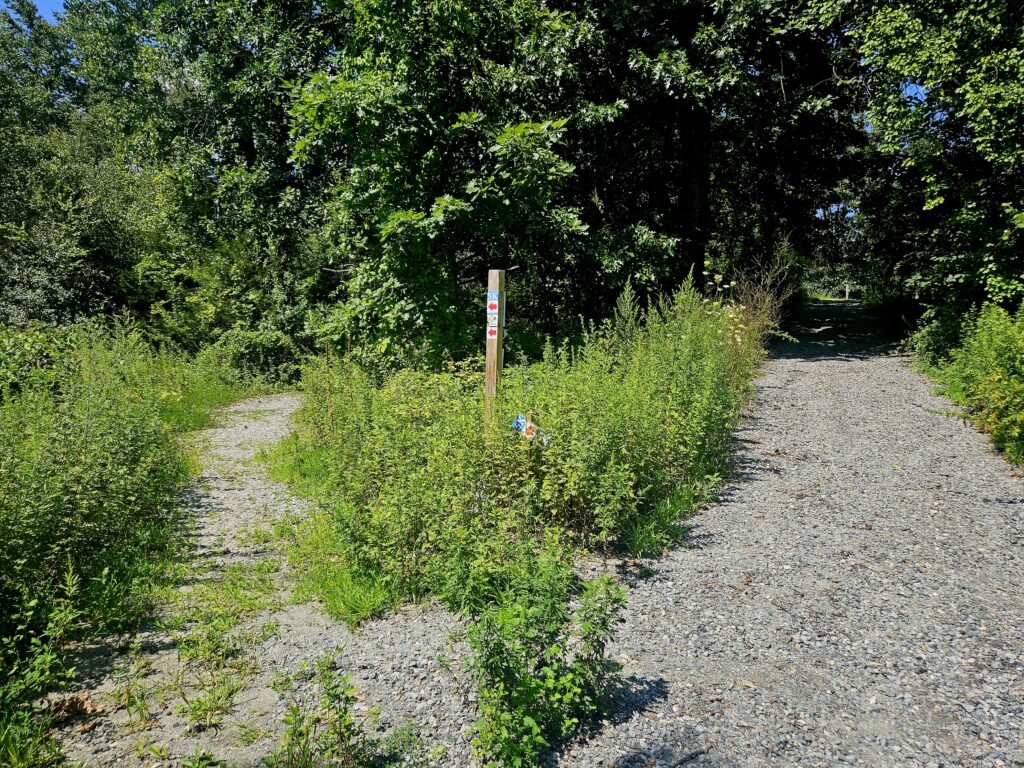 The Snow Bowl Trail Trailhead