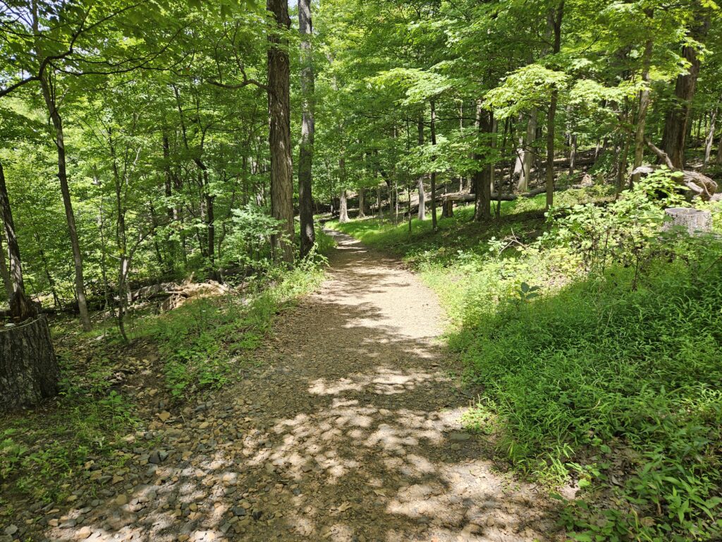 A trail to Buttermilk Falls at Washington Valley Park in Bridgewater New Jersey