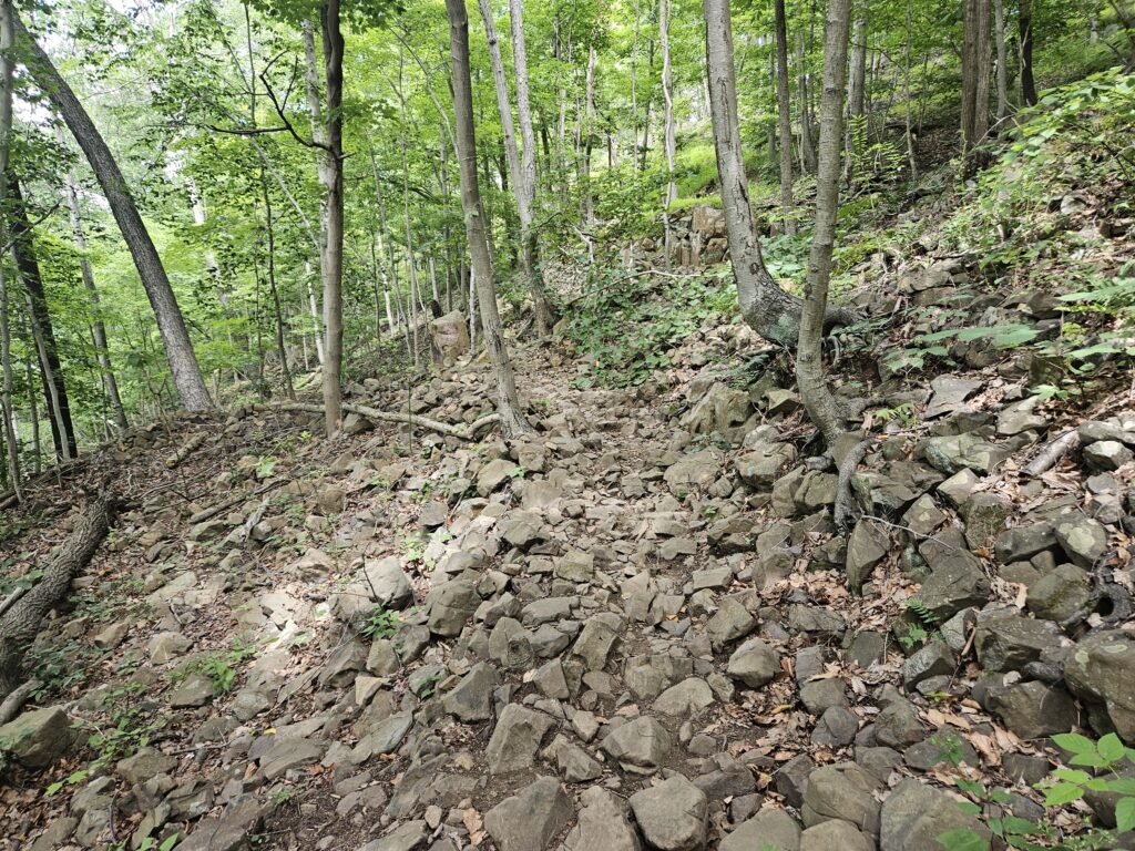 A rocky portion of the yellow trail at Washington Valley Park
