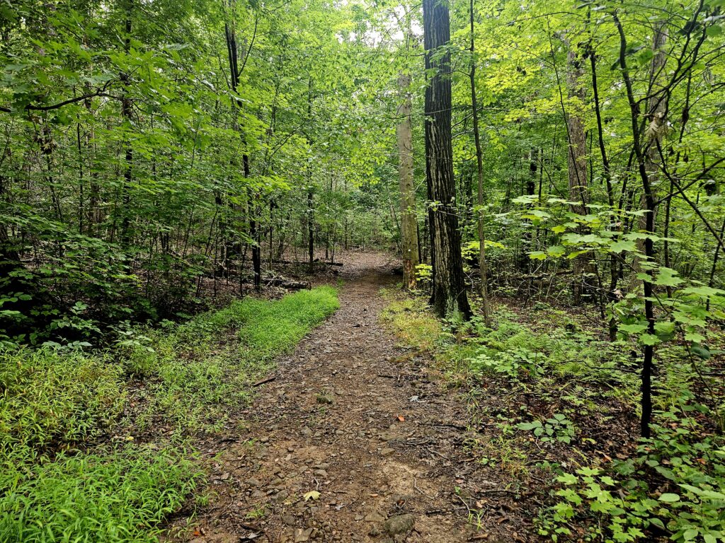 Hiking to the Filthy Green Brook Falls at Watchung Reservation 5 The White Trail at Watchung Reservation