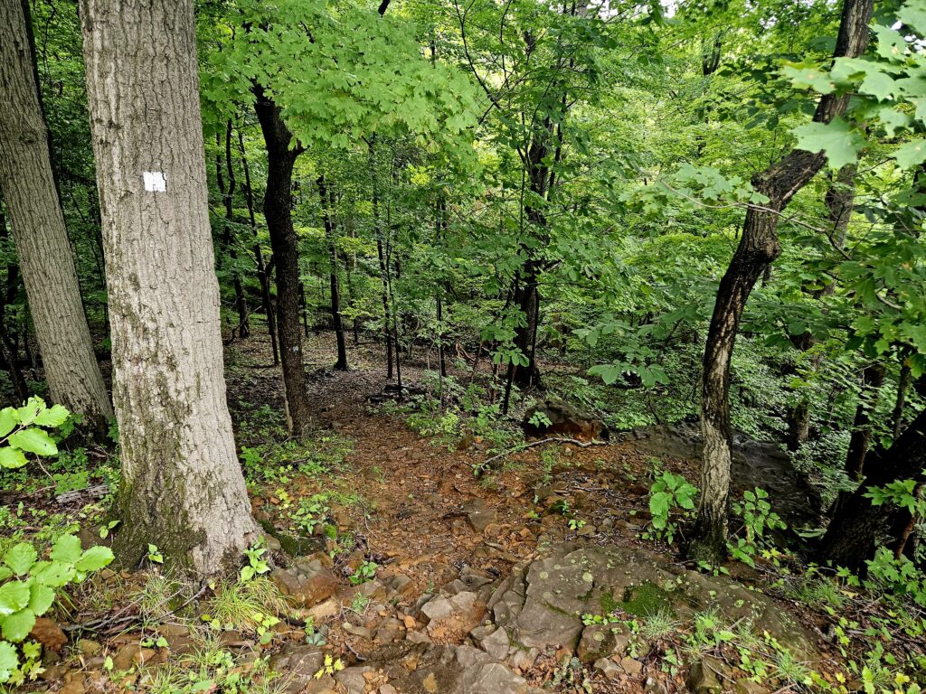 Hiking to the Filthy Green Brook Falls at Watchung Reservation 8 The White Trail at Watchung Reservation