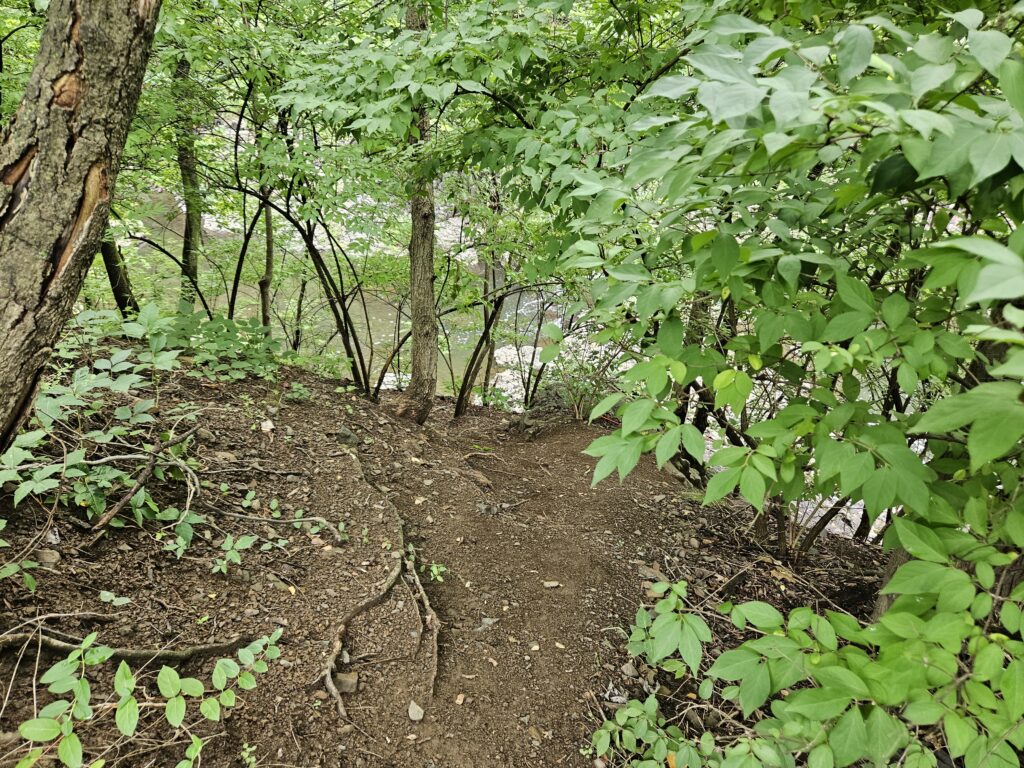 The steep trail leading to Wetumpka Falls in Watchung New Jersey