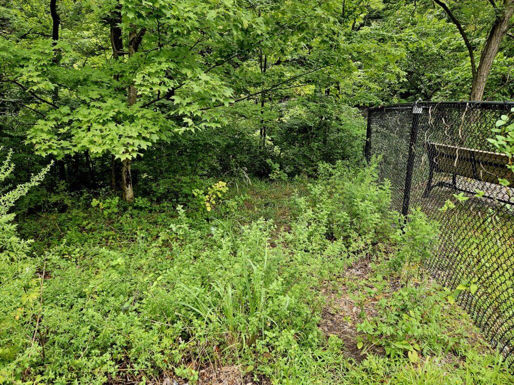 The trailhead to reach Wetumpka Falls