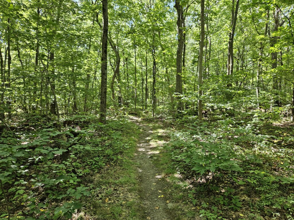 The Appalachian Trail near Lusscroft Farm
