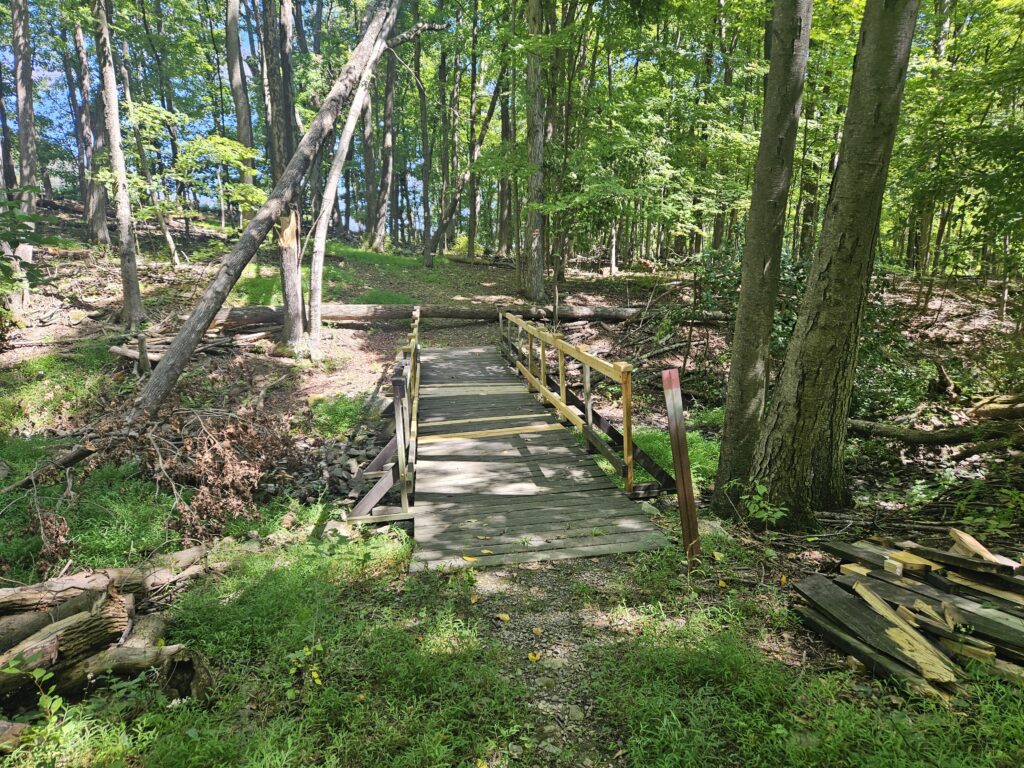 A bridge at Lusscroft Farm