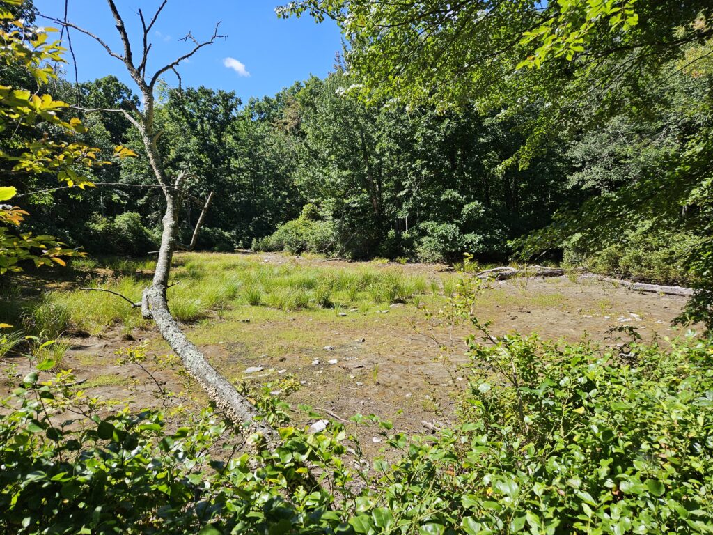 A dry pond atop the Explorer Trail at Lusscroft Farm