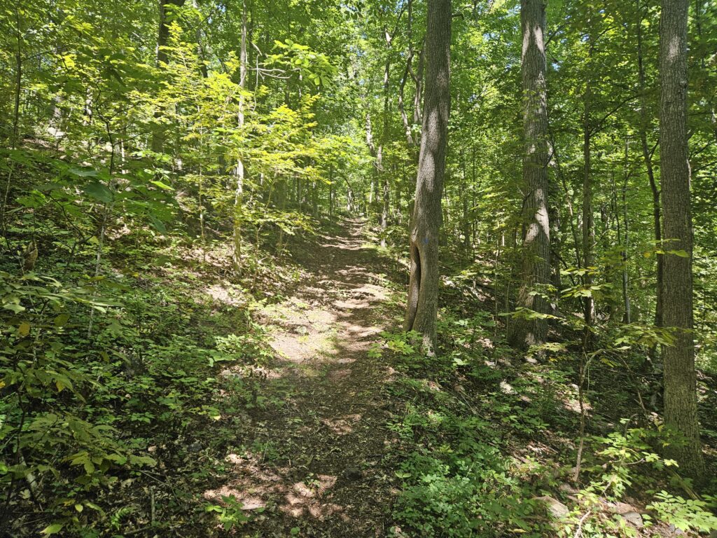 The Steep Hill on the Explorer Trail at Lusscroft Farm