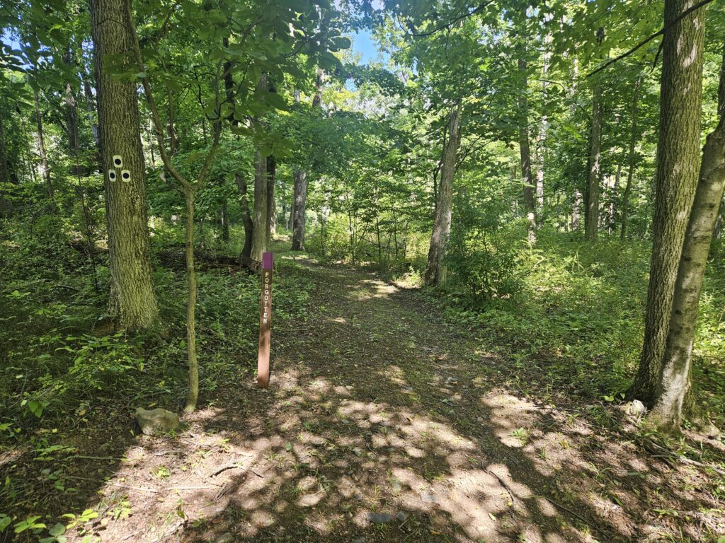 The Forgotten Trail at Lusscroft Farm