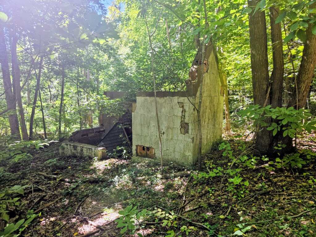 A set of ruins at Lusscroft Farm