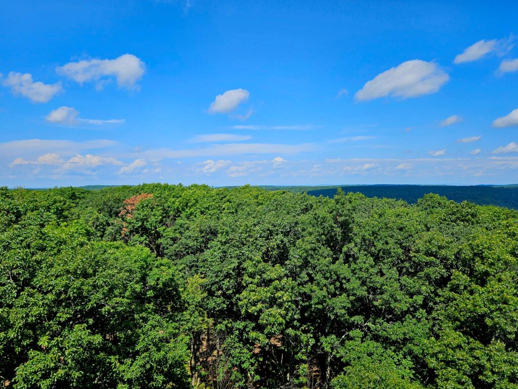 The view from the Milton Fire Tower in Jefferson, New Jersey