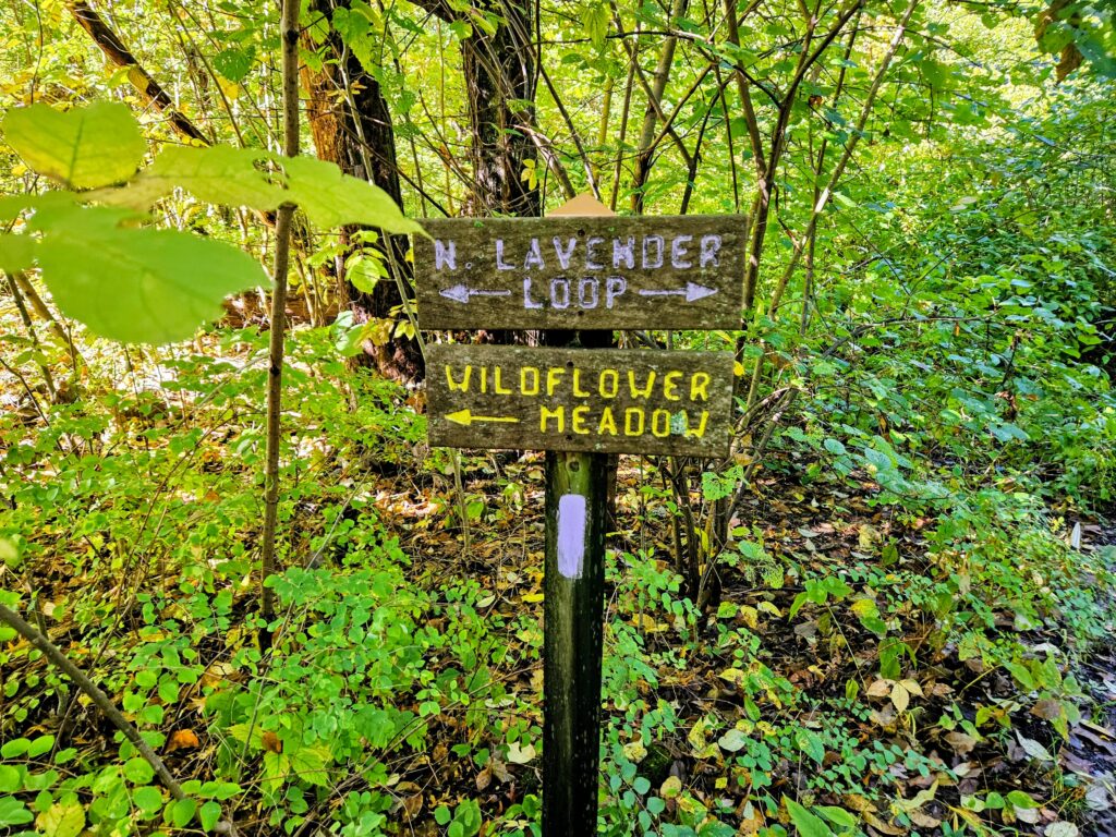 Directional signs in the Wildflower Sculpture Park and Wildflower Forest Preserve in South Mountain Reservation